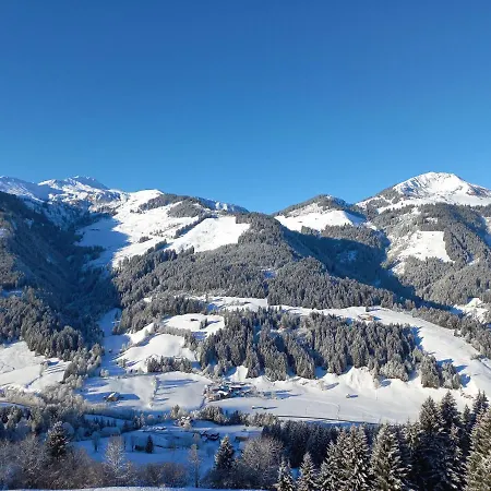 Apartment Bergblick *